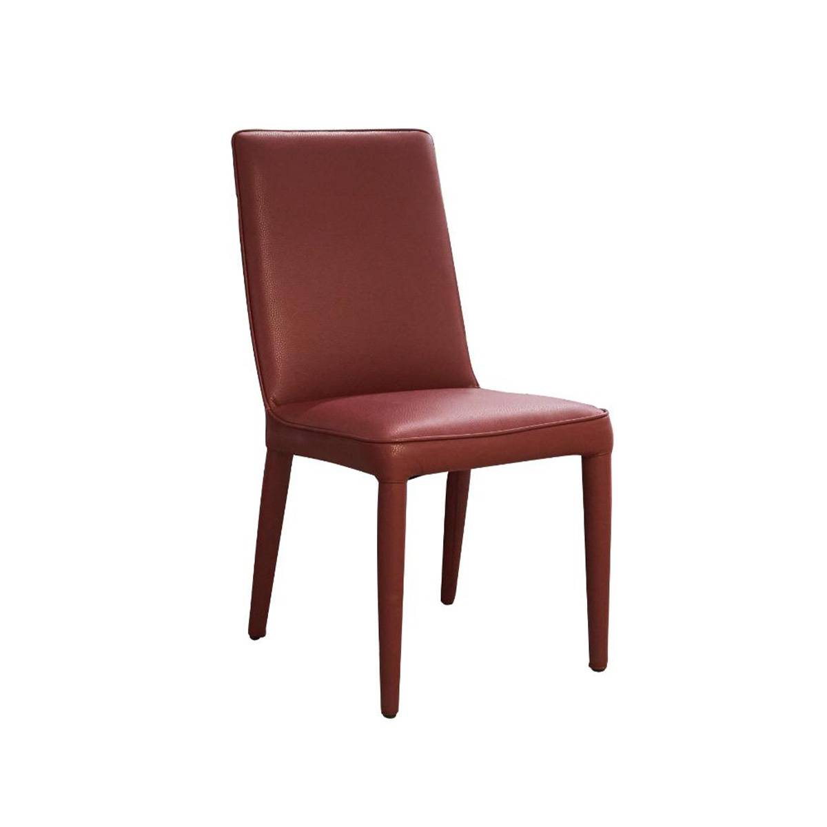 Dining Chair (B10-Y1003)