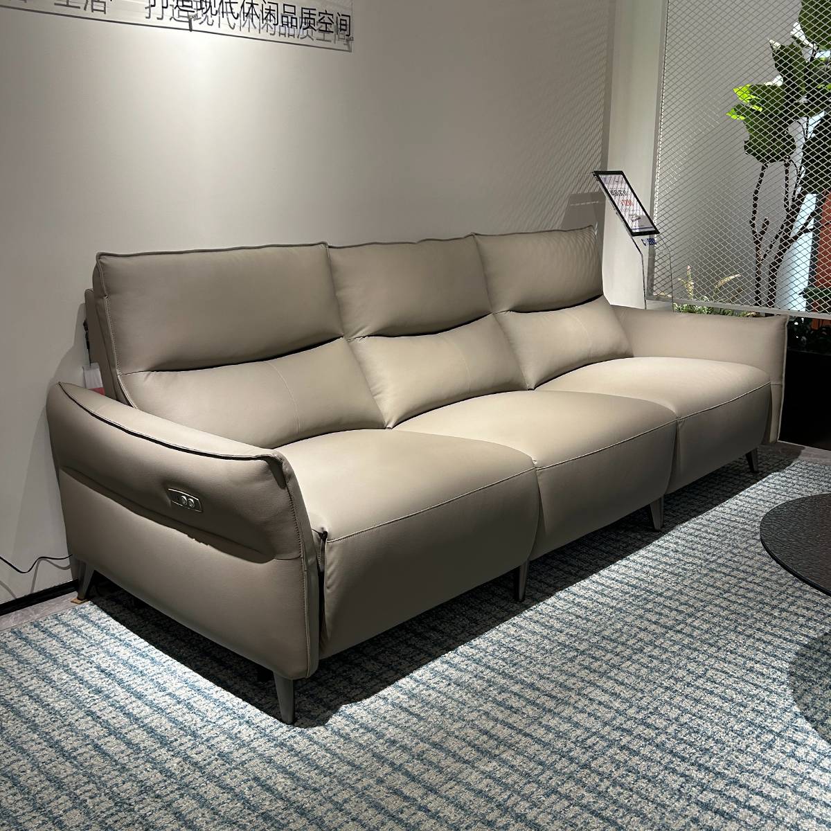 Cheers Straight Functional Fabric Sofa 3-Seater (GDD8075)