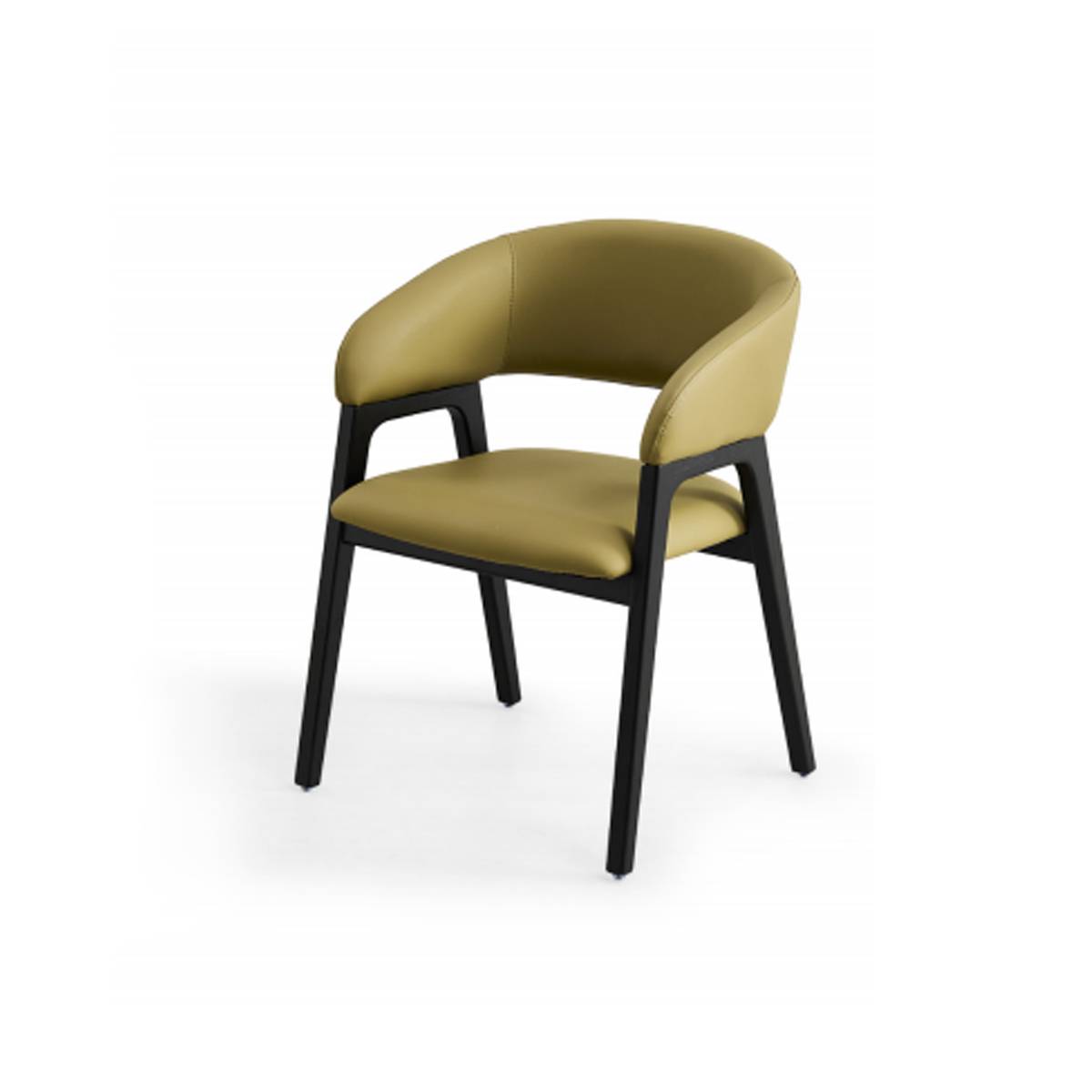 Solid Wood Leg Dining & Study Chair (Z67-A2473)