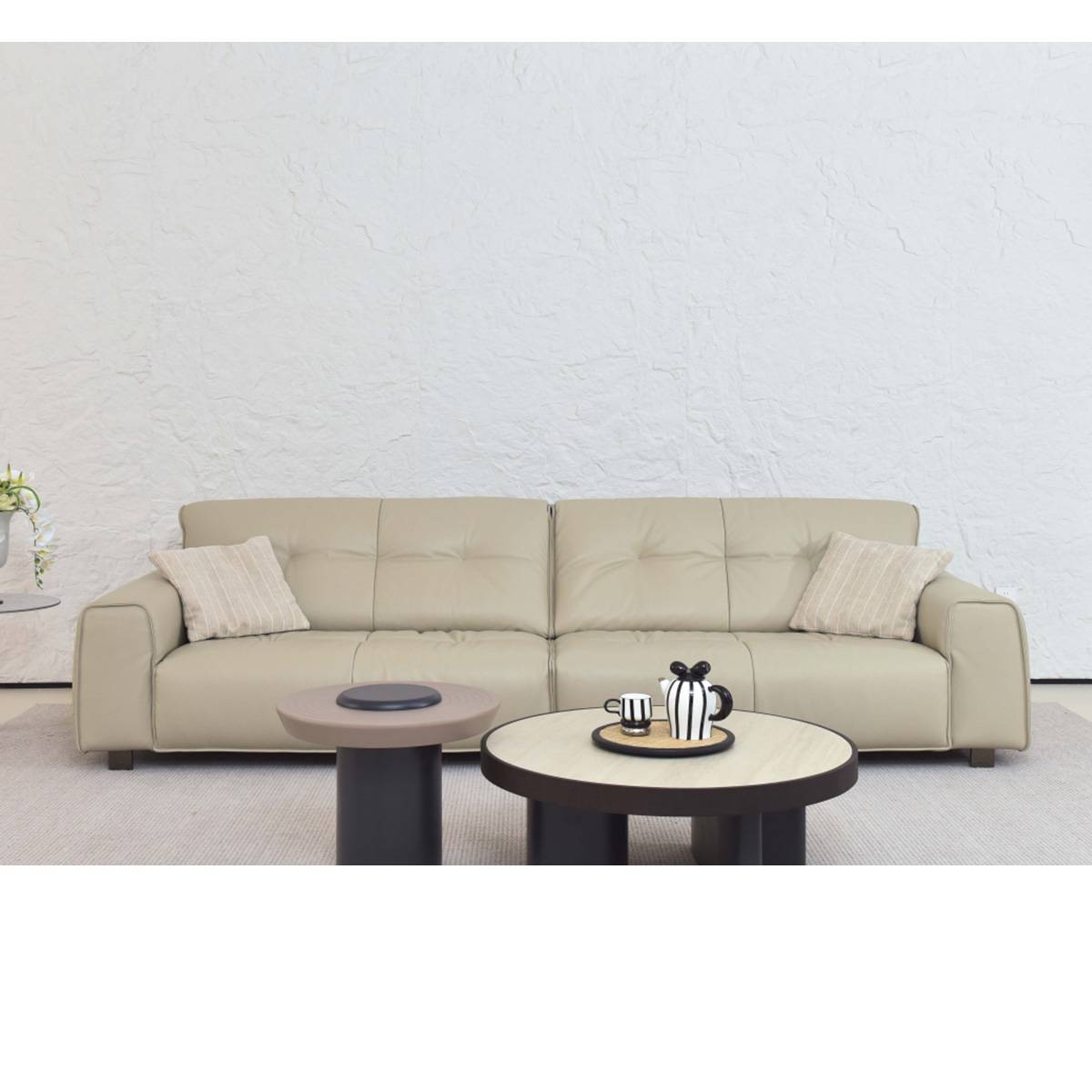 Full Leather Straight Sofa (B22-P3268)