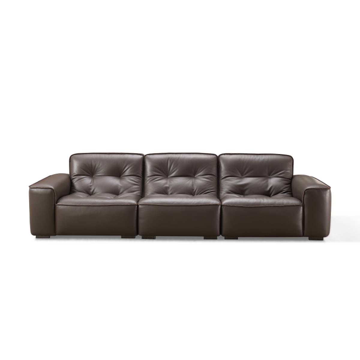 Front view of brown leather sofa