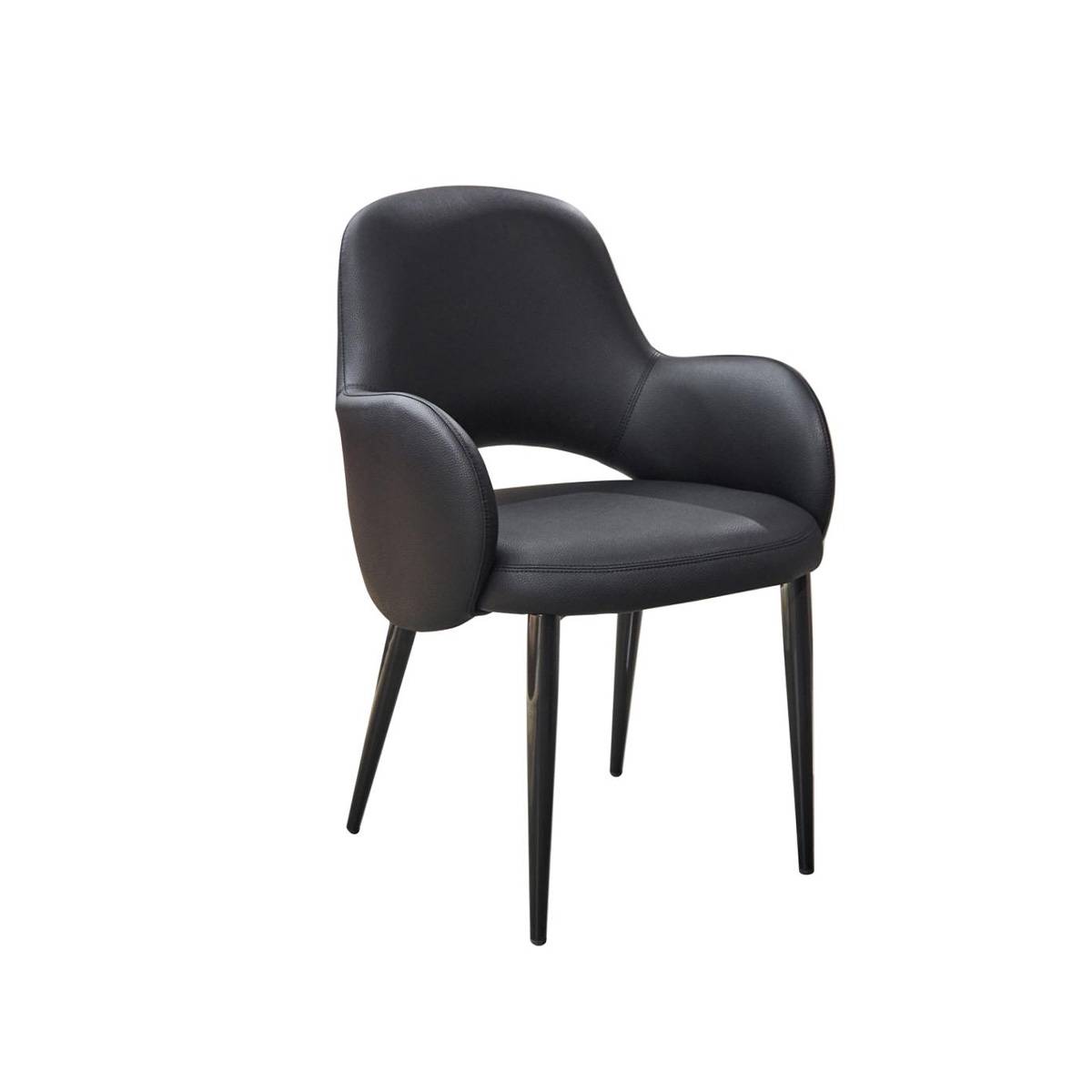 Dining Chair (B10-Y981)