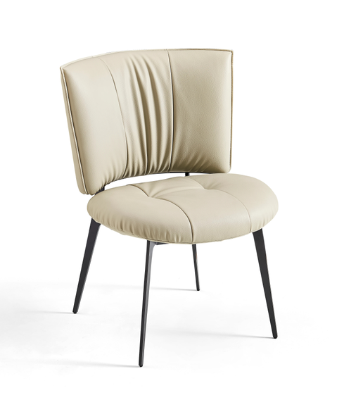 Dining Chair (B10-Y941-B)