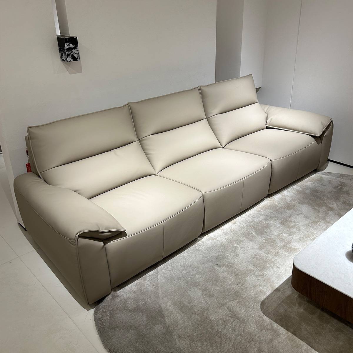 Angled view of the sofa showing the seat cushions and backrest design