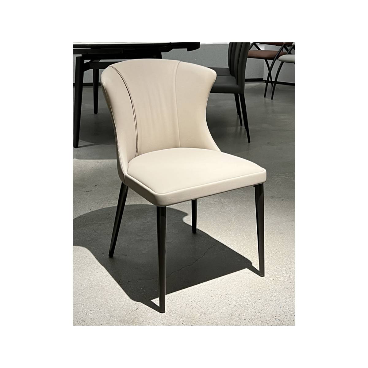 Dining Chair (B10-Y861)