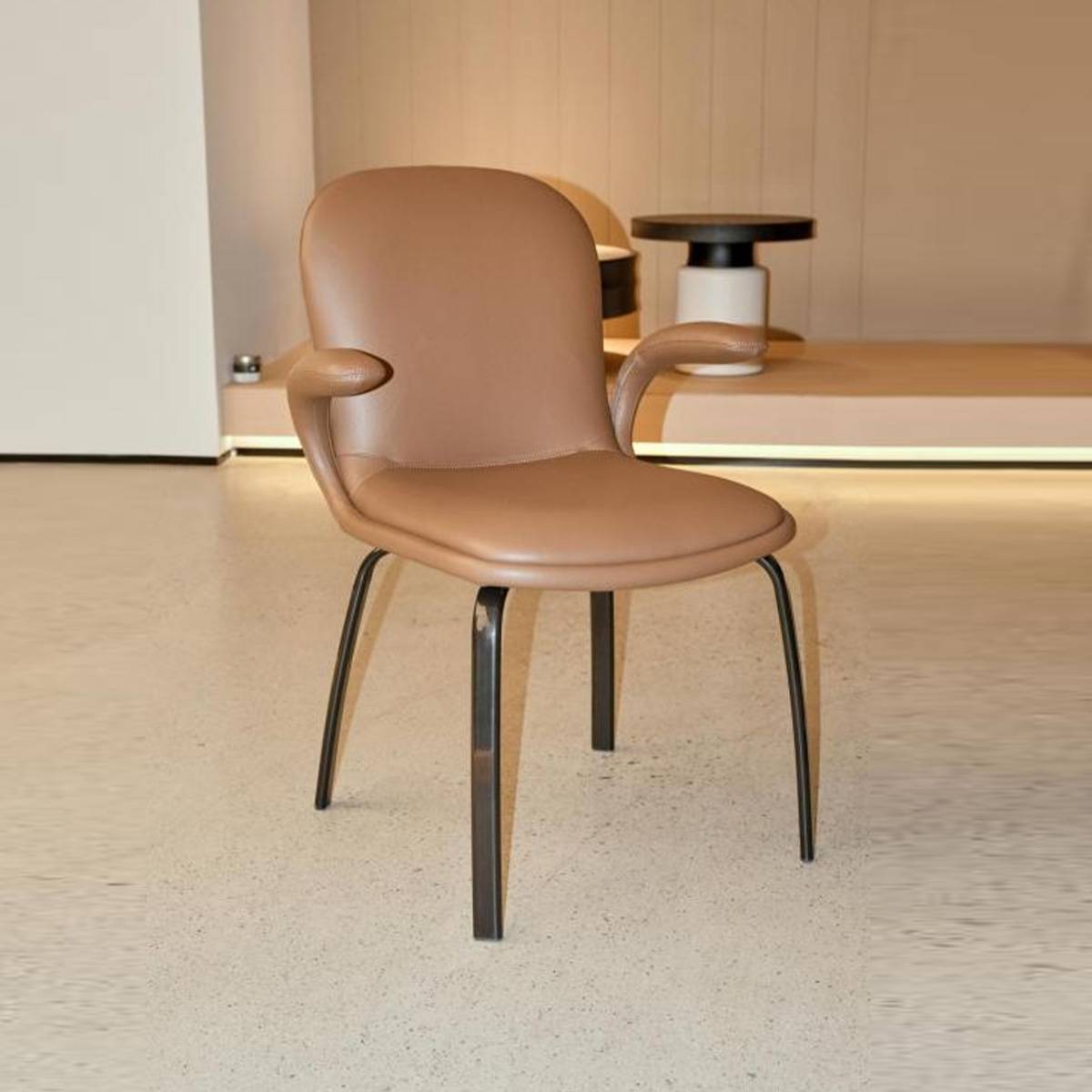 Dining Chair (B10-Y115)