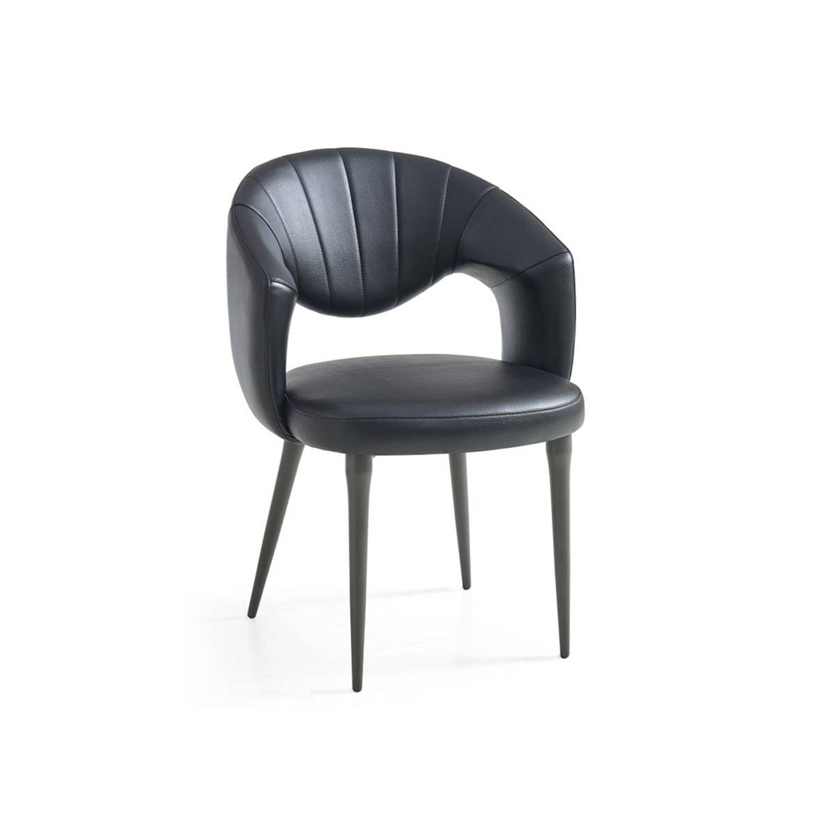 Dining Chair (Z85-MY581)