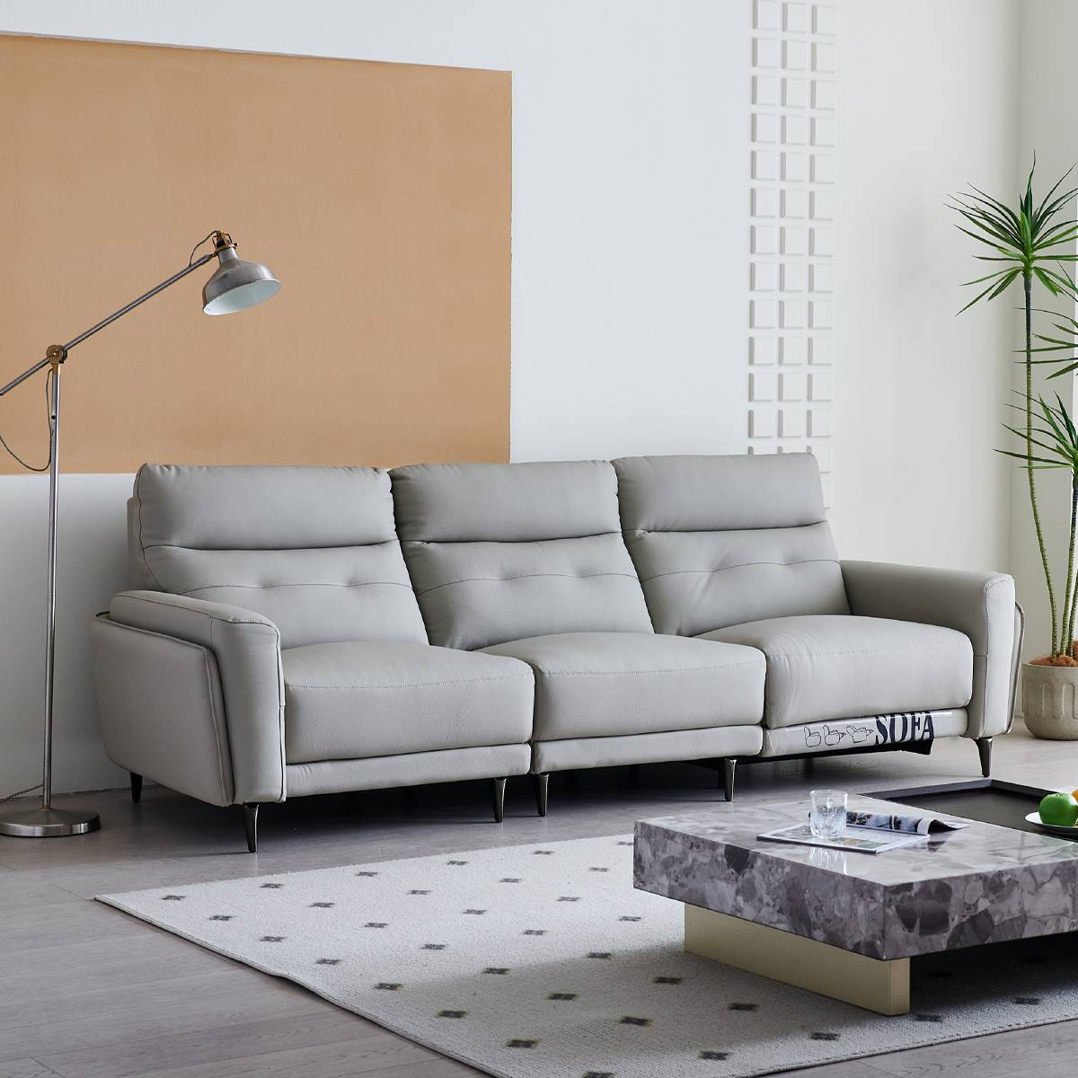 Leather Functional Sofa (B29-8821)