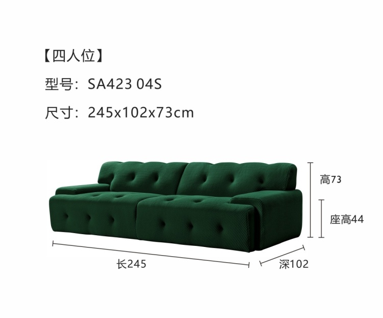 Dimensions diagram for the 4-seater model (SA423 04S)