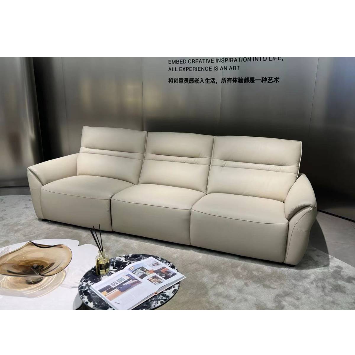 Genuine Leather Linear Functional Sofa (B20-361)