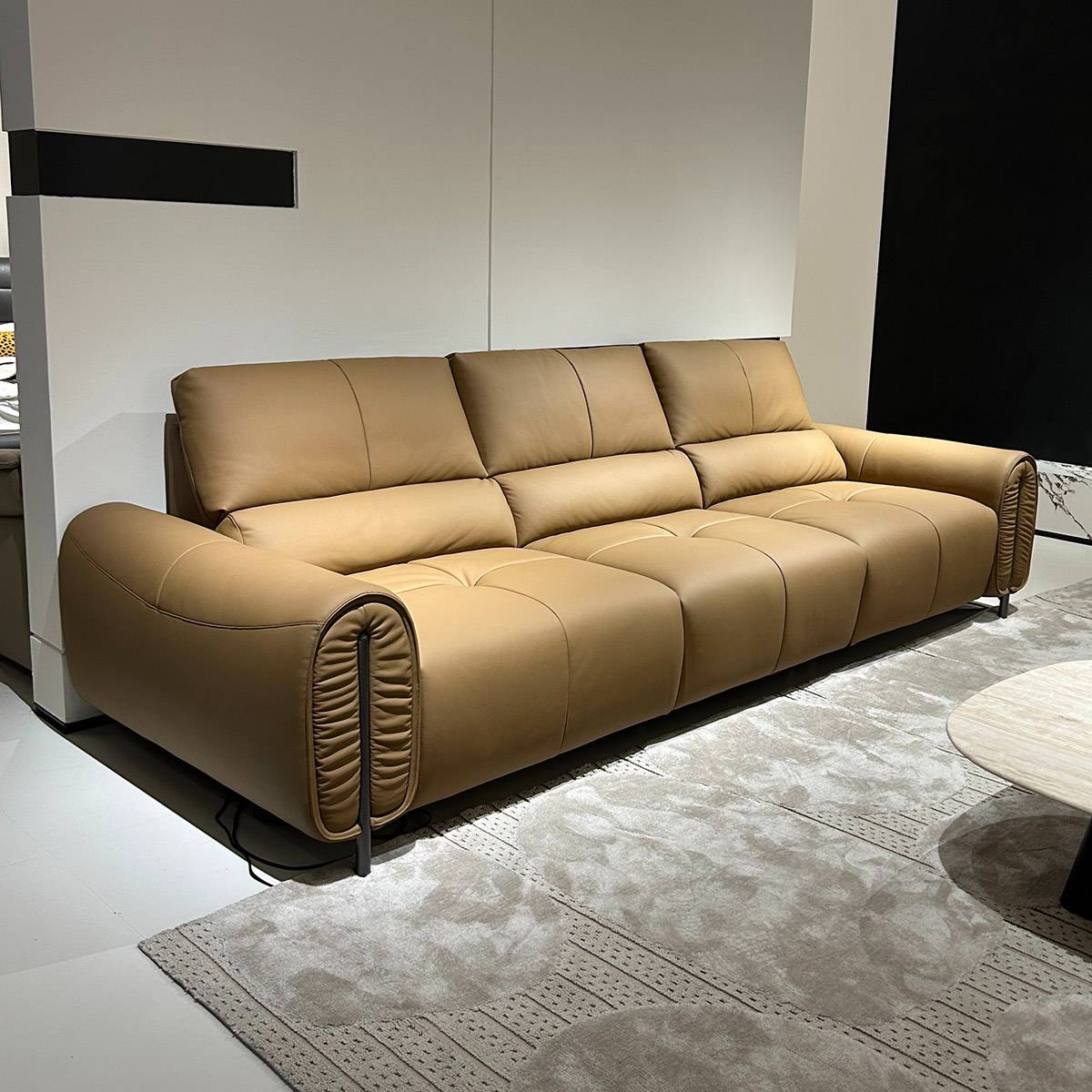 Straight Leather Functional Sofa 3-Seater (B22-R0569A)