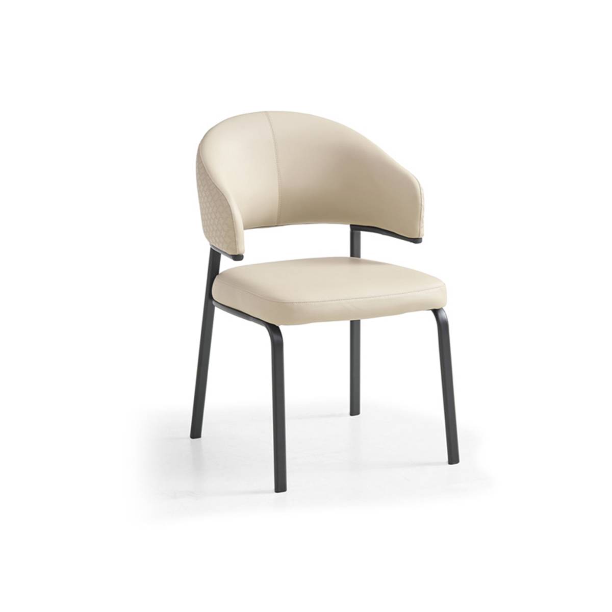 Dining Chair (Z85-MY593)