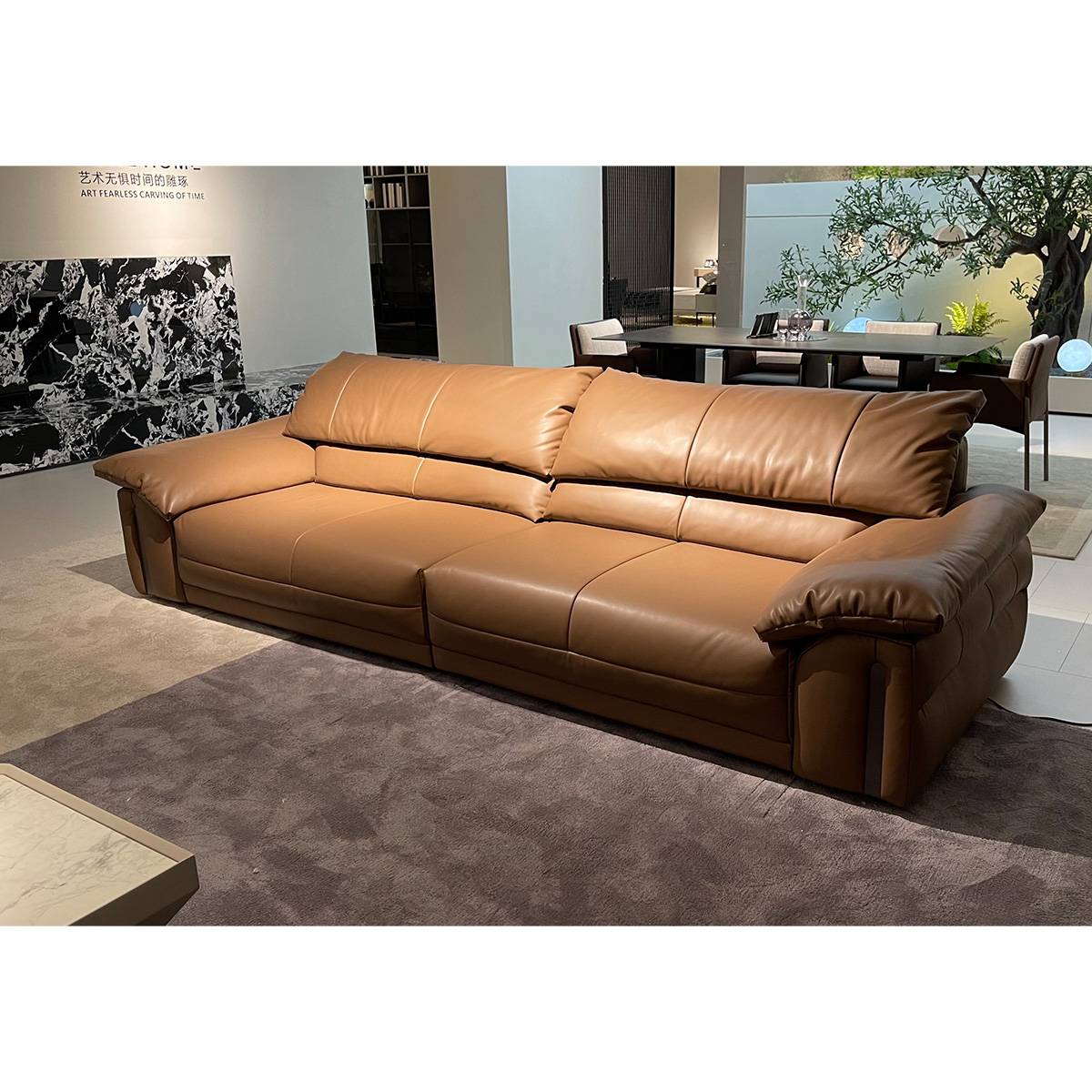 Eco-Leather Electric Sofa Bed (B22-P3291)