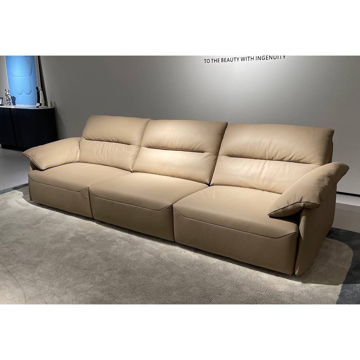 Full Leather Straight Sofa (B22-P3292)