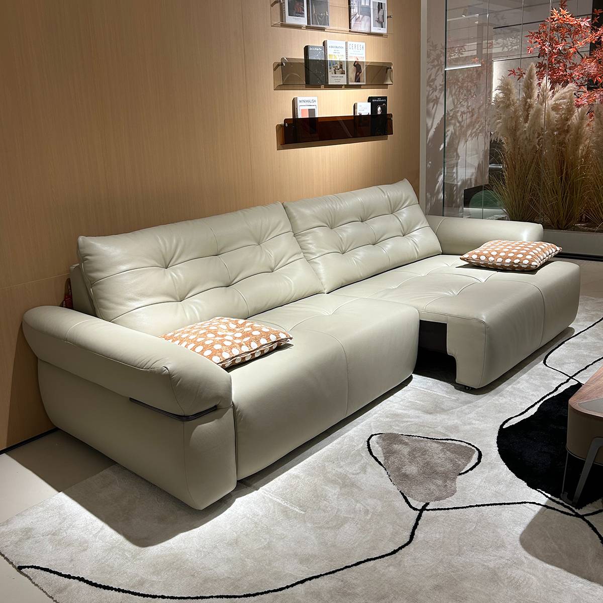 Electric Sofa Bed (B22-T817)