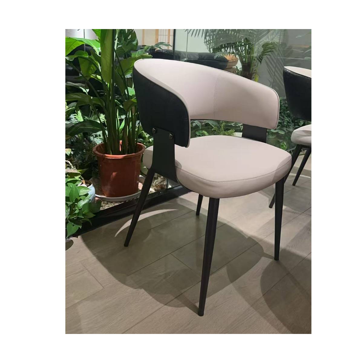 Close-up view of the light grey dining chair in a showroom setting with plants.