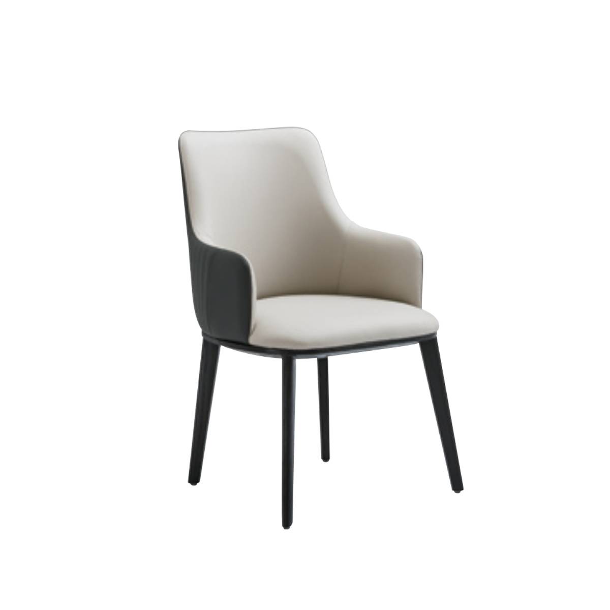Dining Chair (B63-Y09)