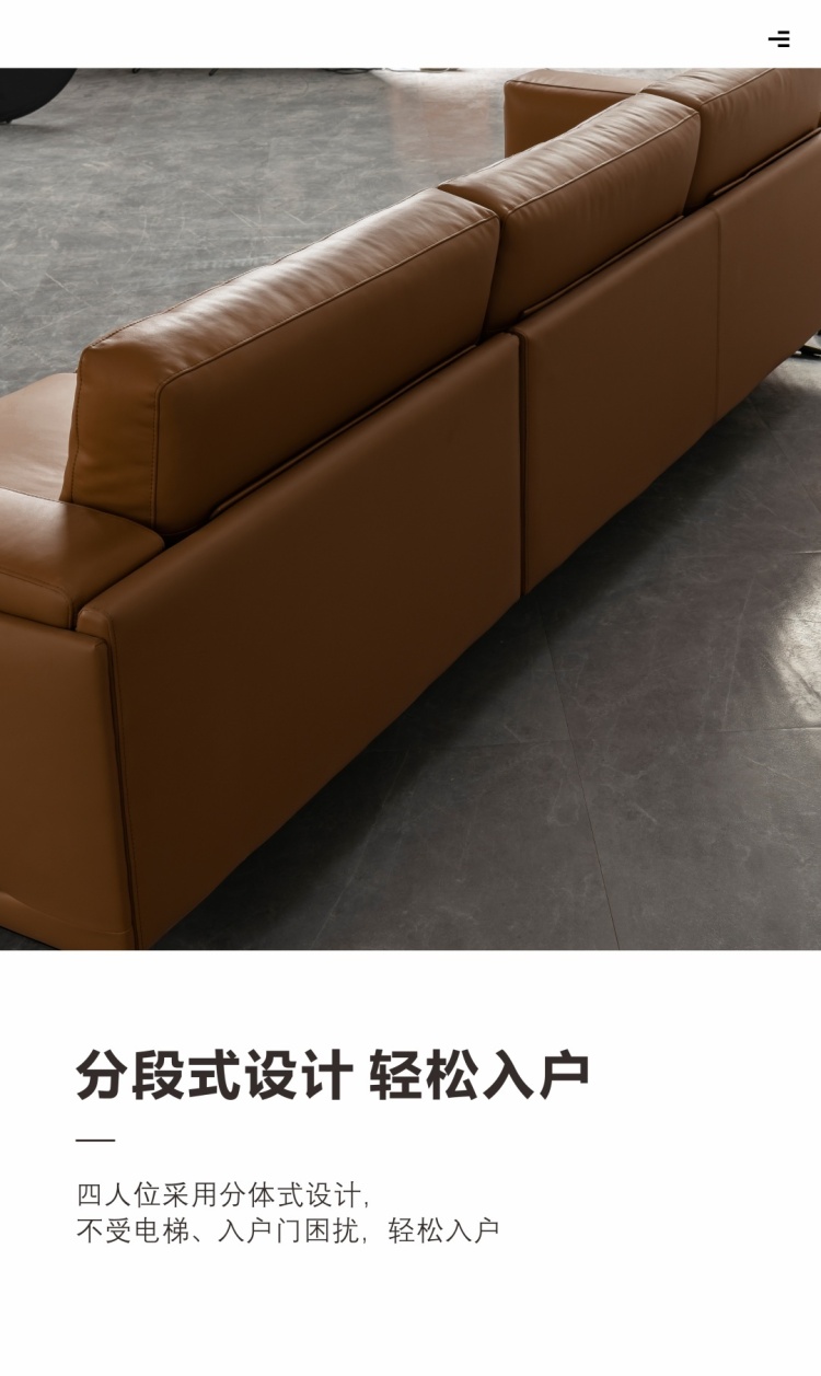 Close-up view of the brown sofa backrest showing segmented design