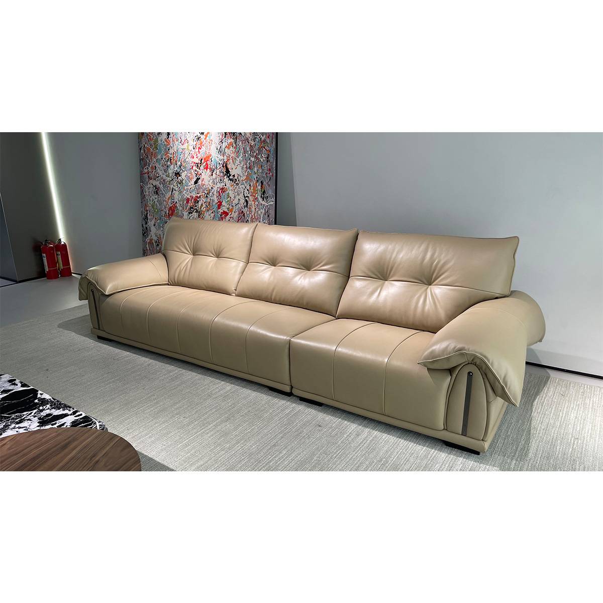 Genuine Leather Straight Sofa (B22-P6132C)