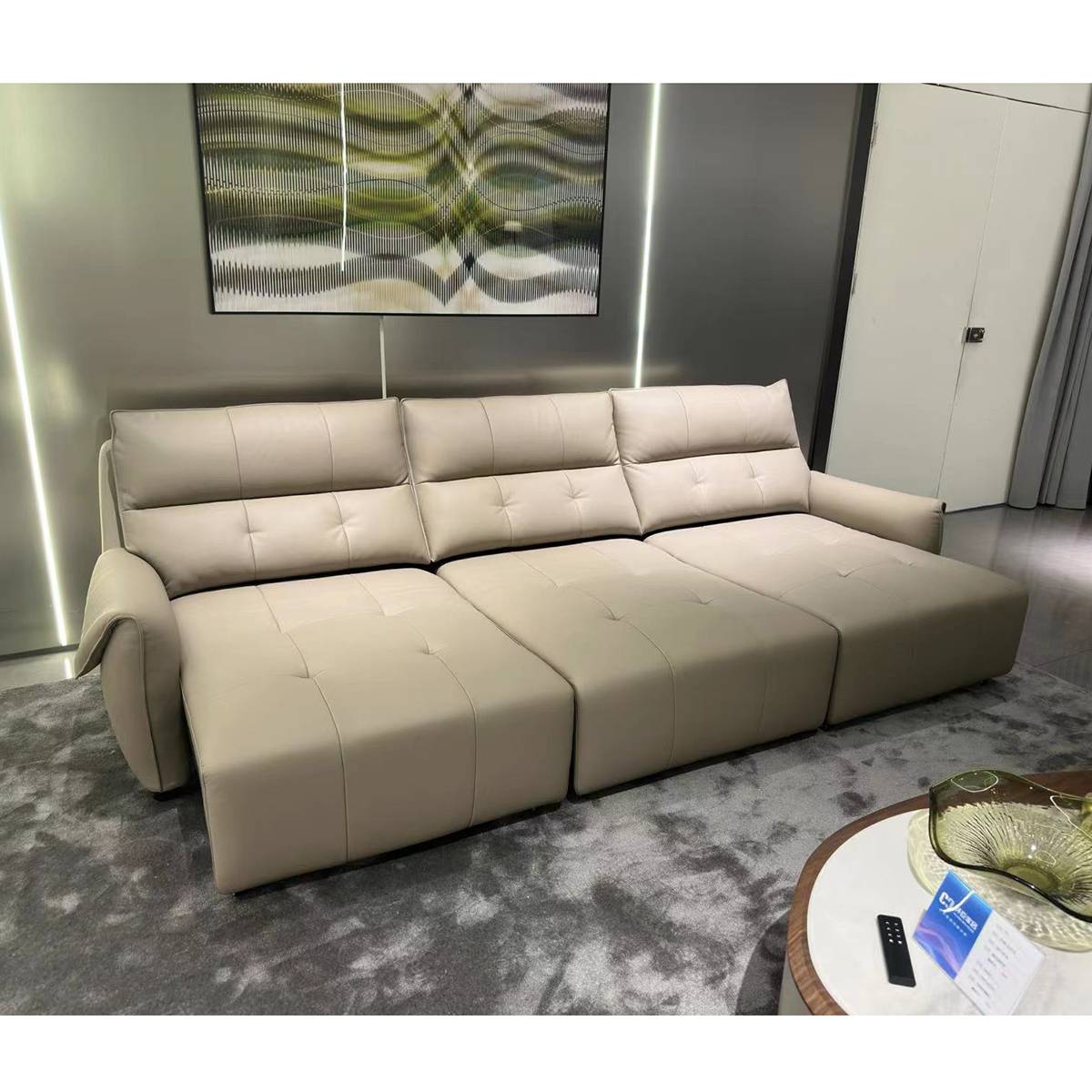 Genuine Leather Functional Sofa Bed (B20-378)