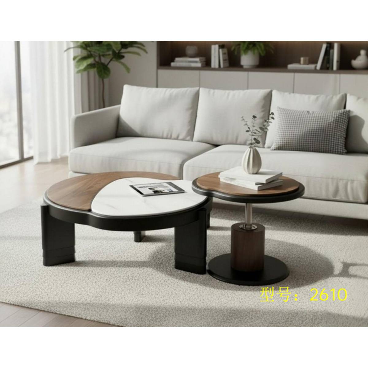 Coffee Table Set (Z60-2610)