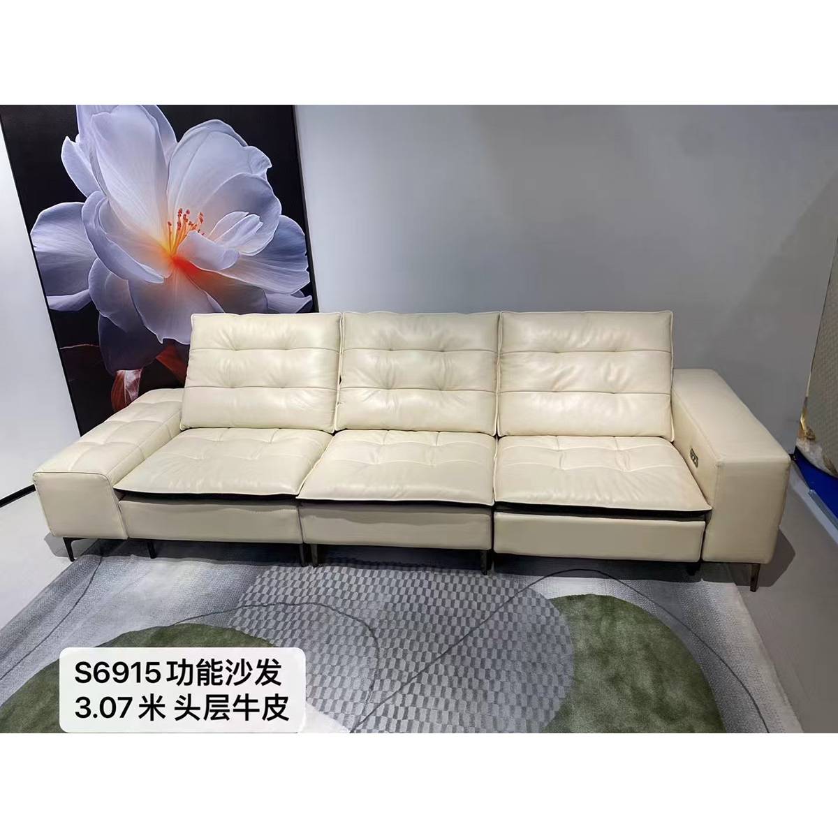 Genuine Leather Linear Functional Sofa (B24-S6915)
